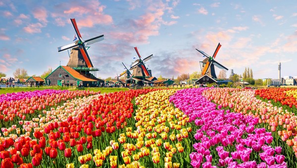 Zaanse Schans 